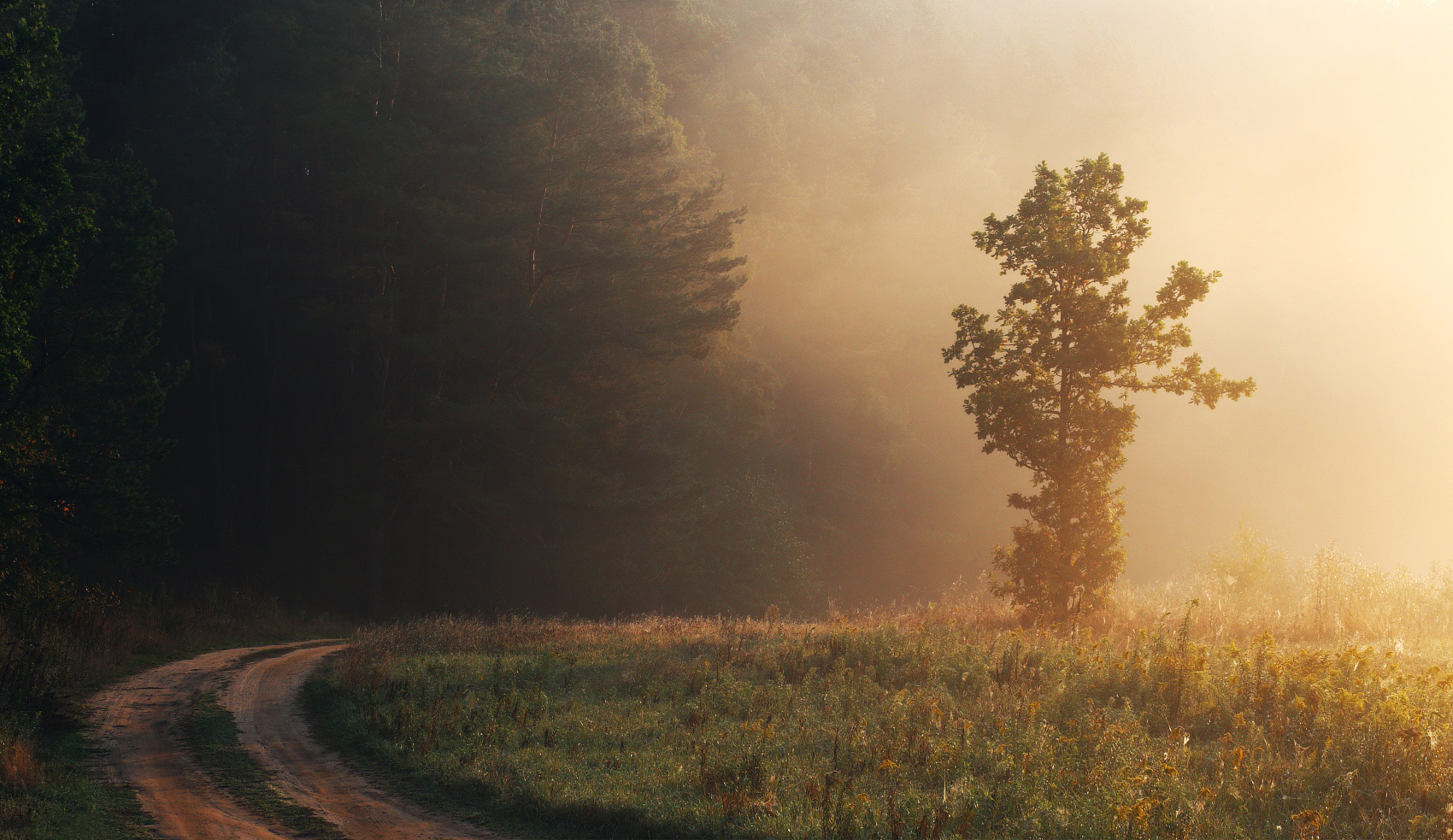 .....Аплодисменты рассвету....