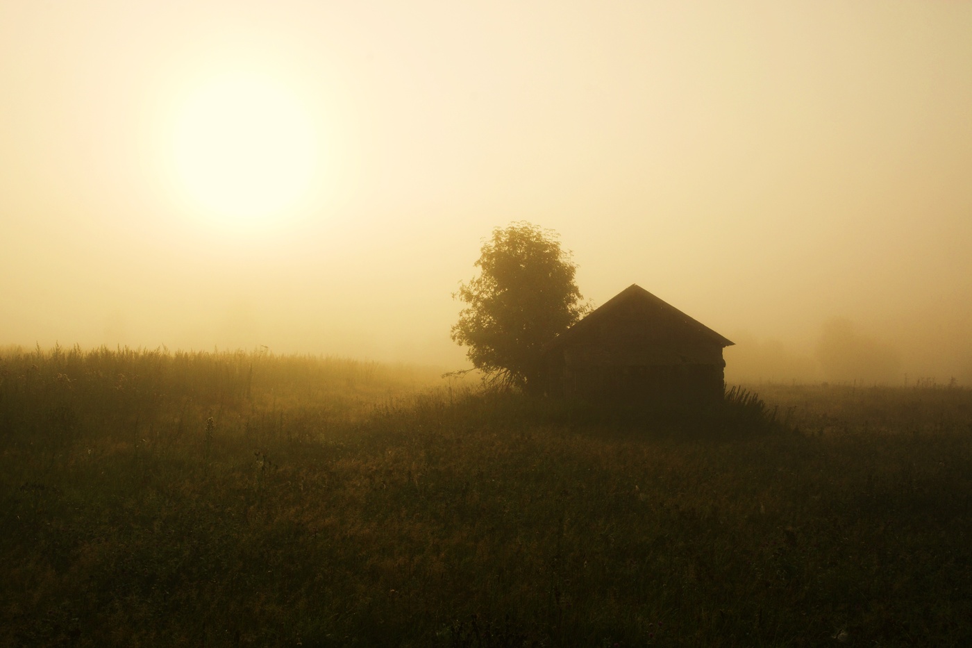 Утро жаркого дня ...