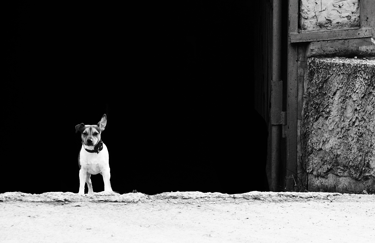 ну слышу-слышу!