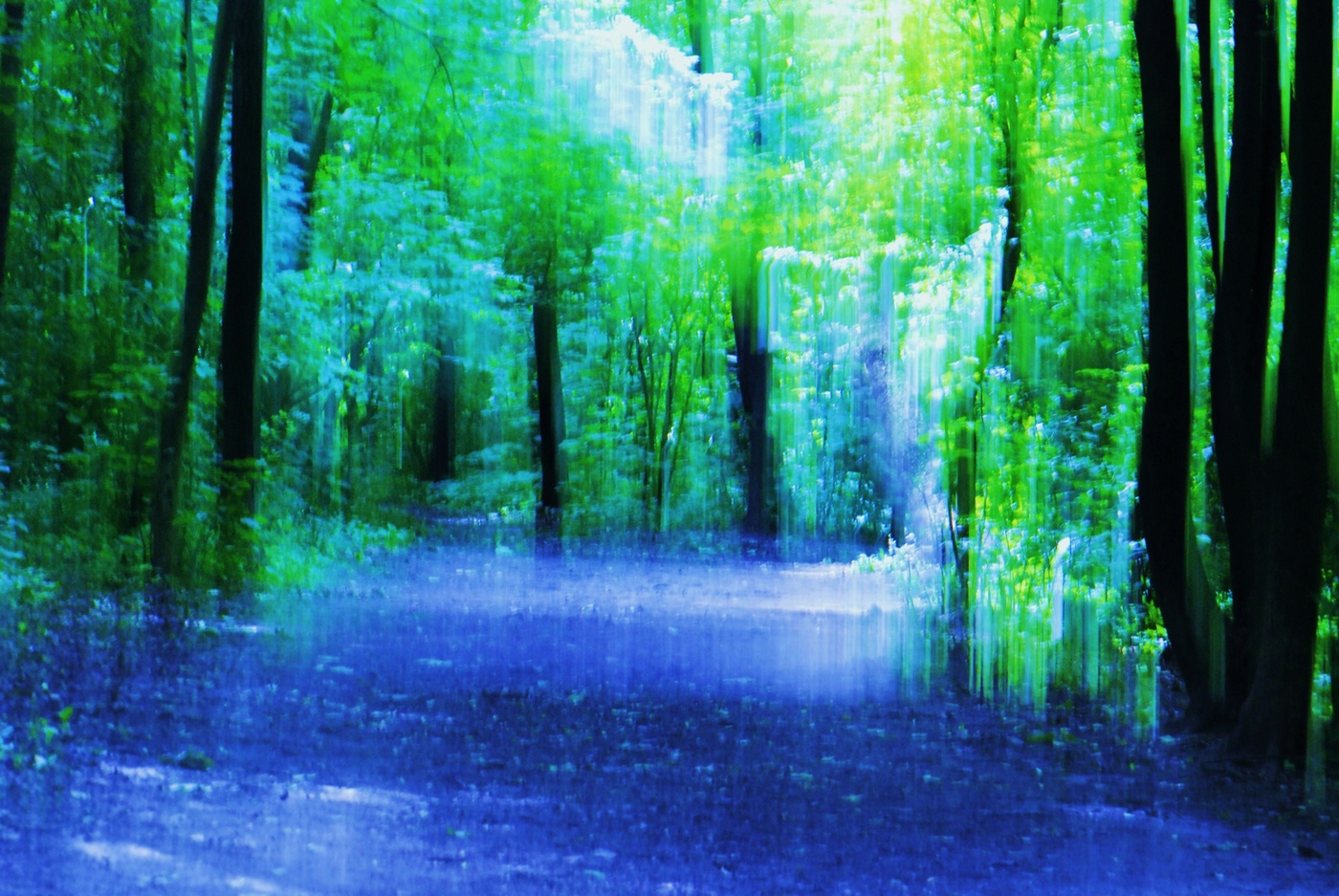 Дождь в июньском лесу ...