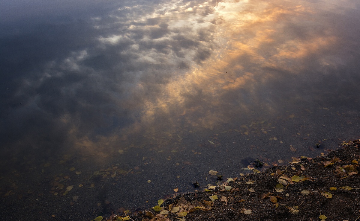 В десяточку