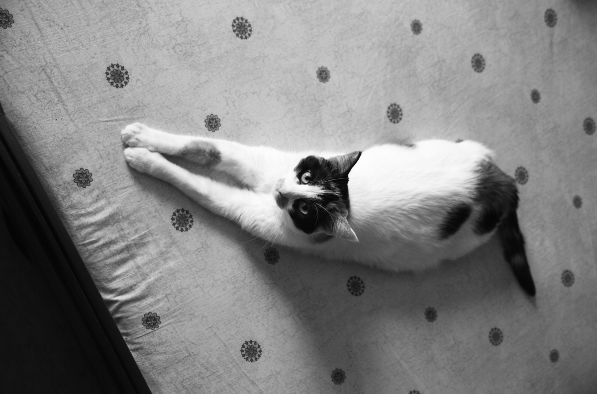 В десяточку