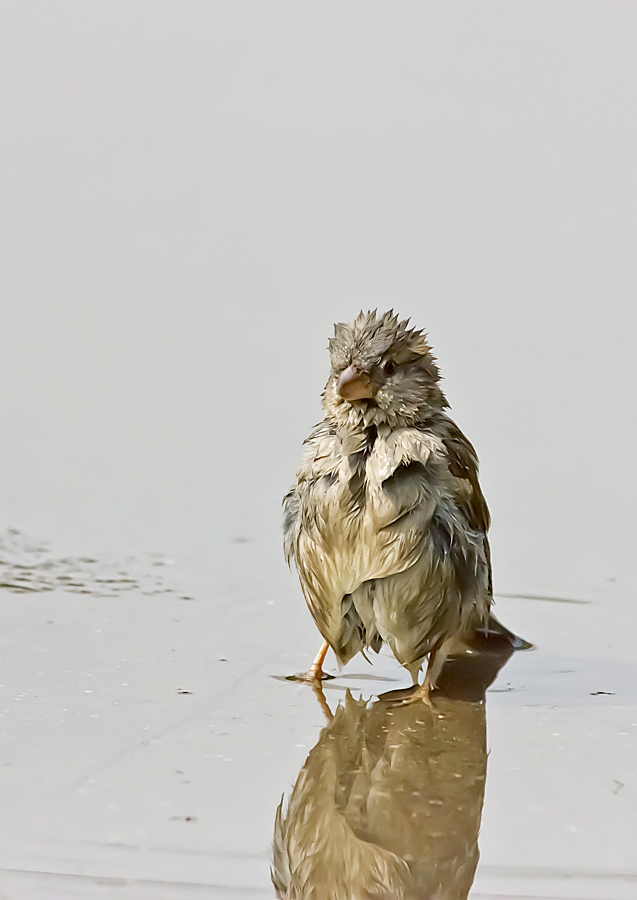А мне любое море по-колено...