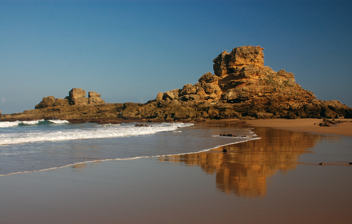 Этюд в золотистых тонах