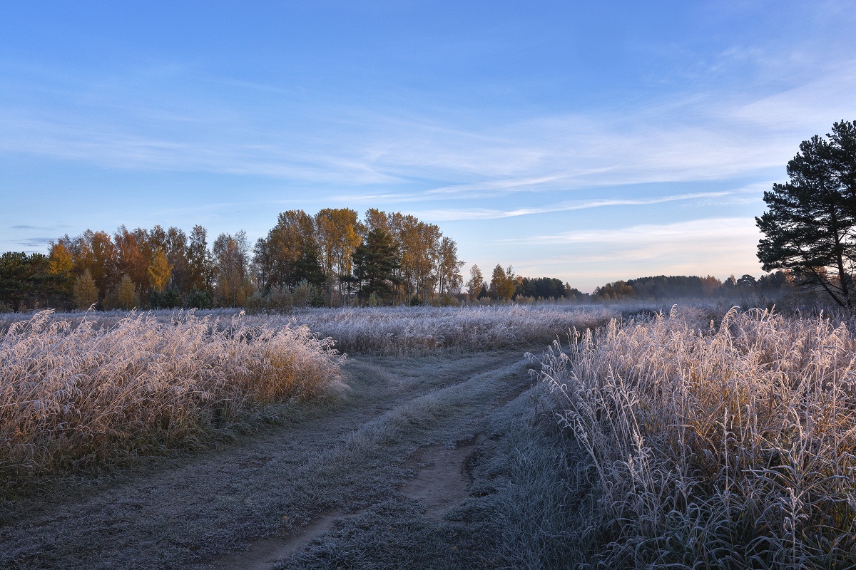 Приморозило.