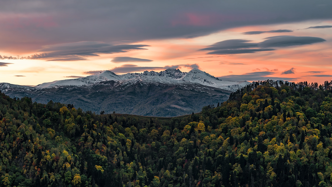 Не проспать утро