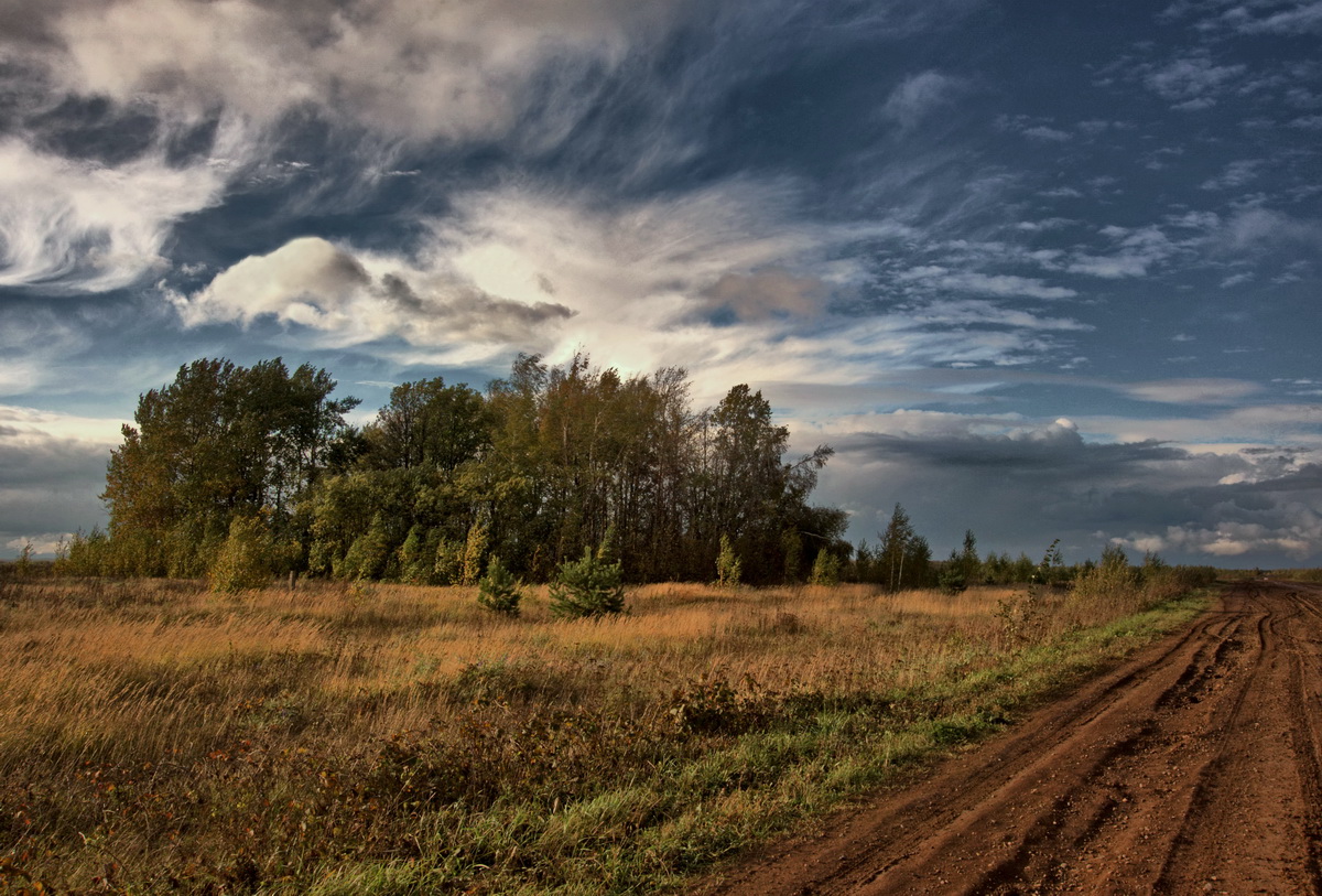 Предчувствие