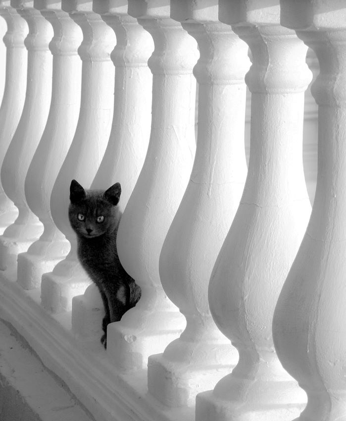 Знак препинания.