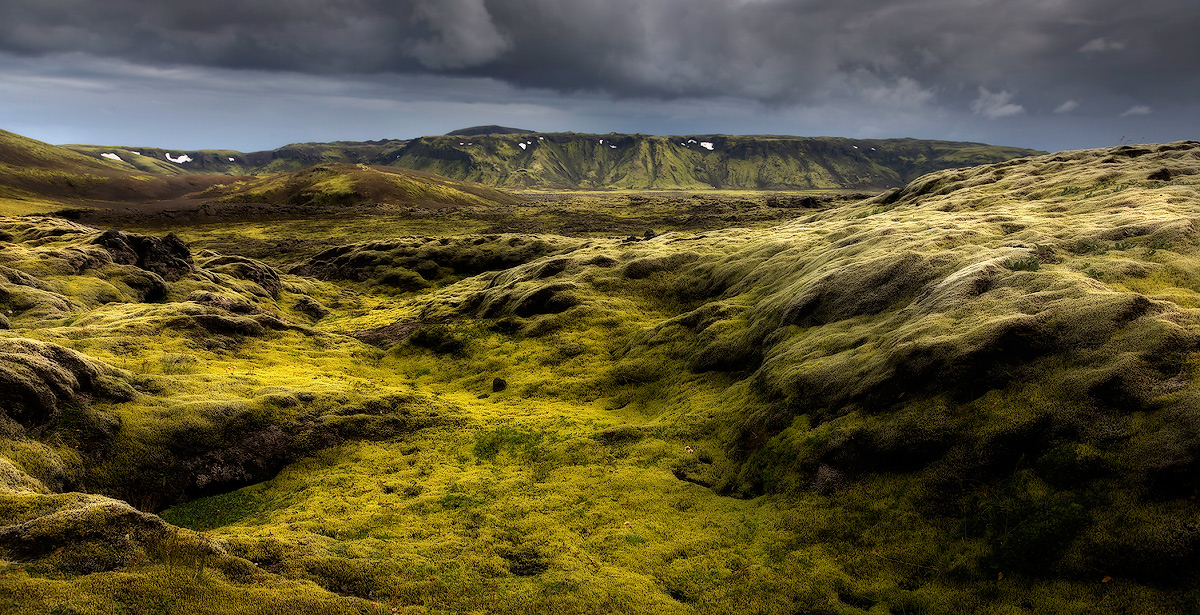 50 оттенков зелёного