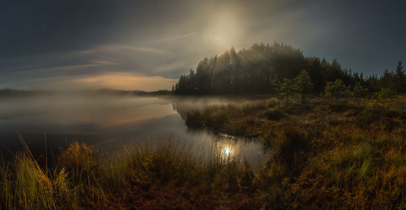 Зов лунной ночи.