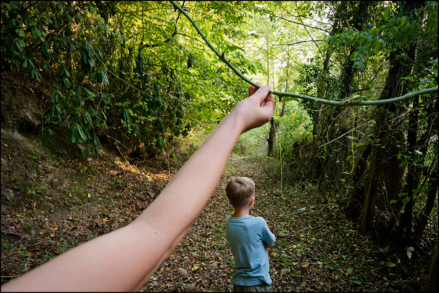 ежевики плеть