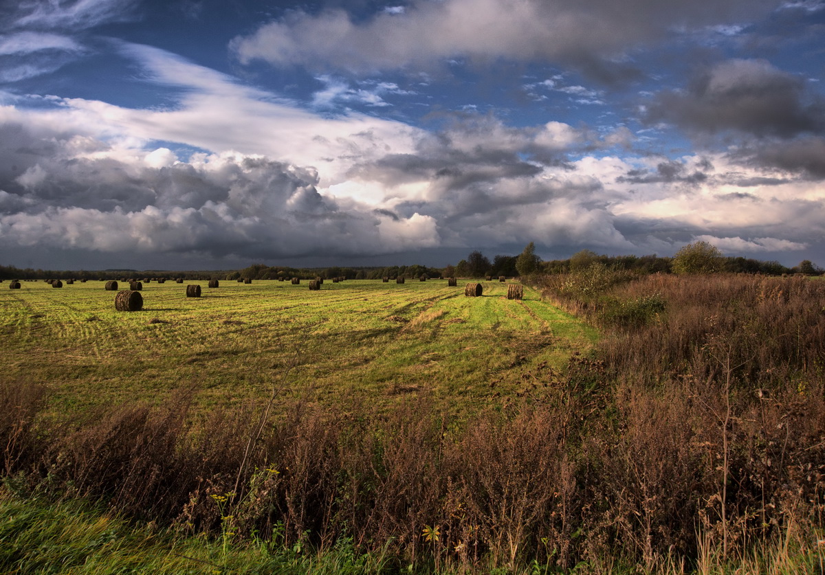 Скошенное поле