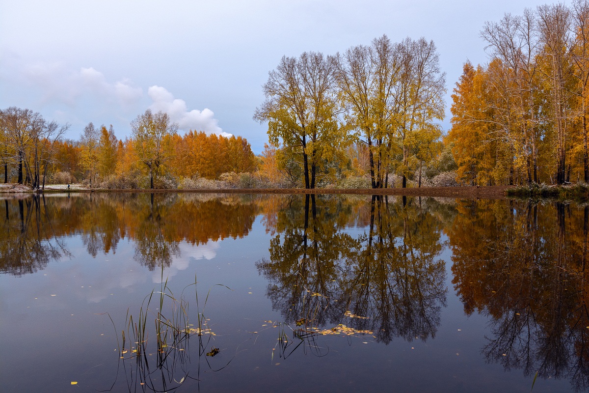 Осенний контраст.