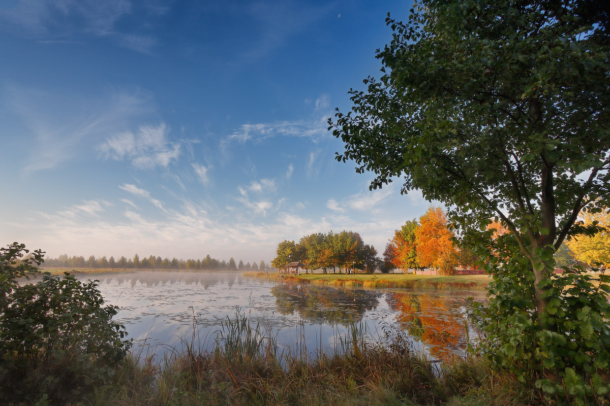 Приходила Осень