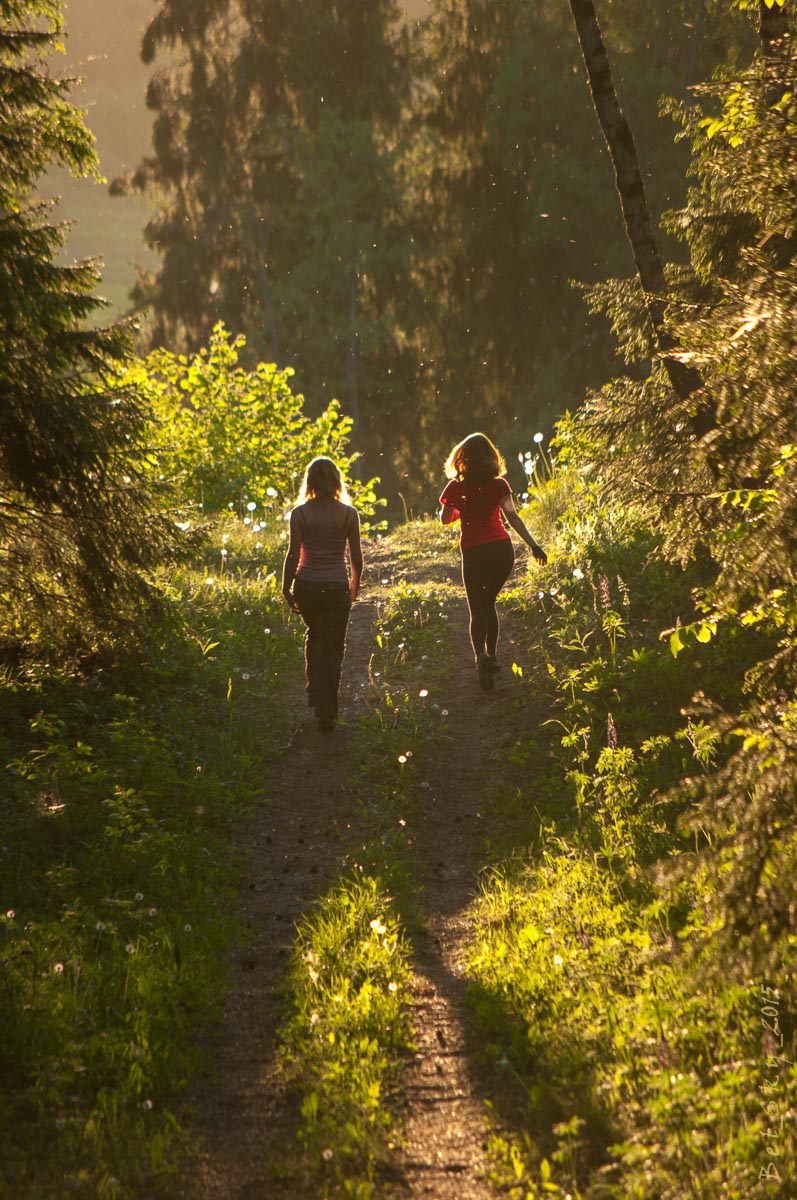 Одуванчики