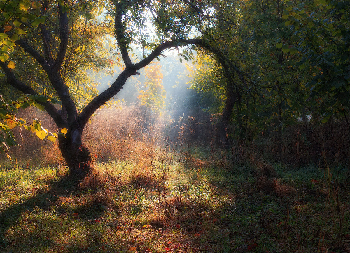 Утро осеннее