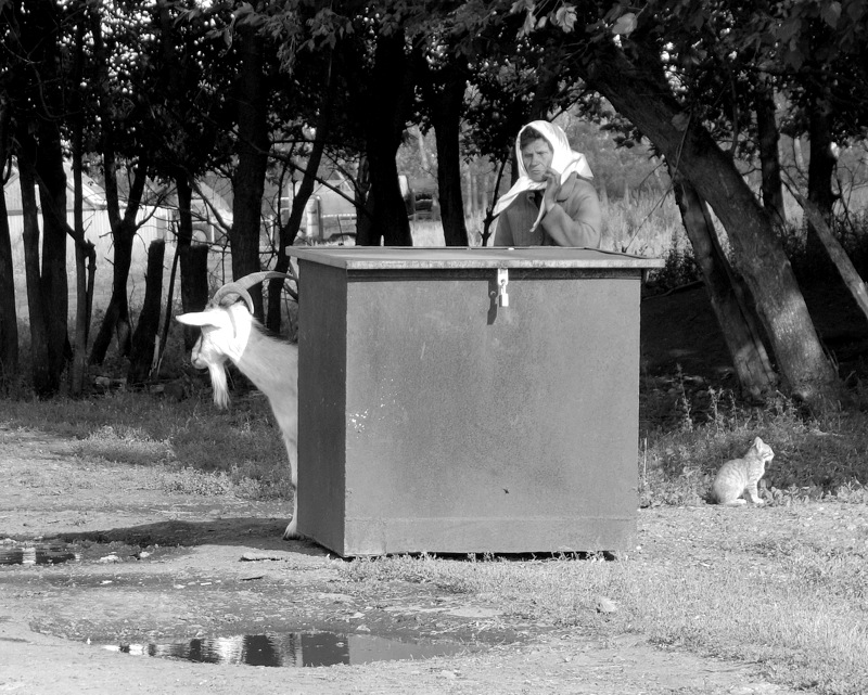 Незолотое сечение