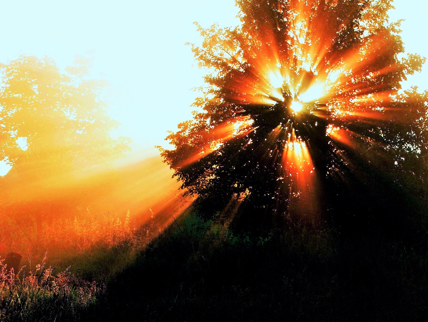 Лучезарное утро ...