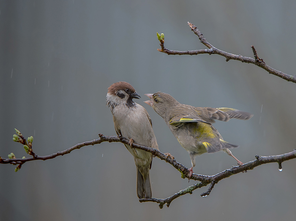 Так это ты спаиваешь моего мужа?