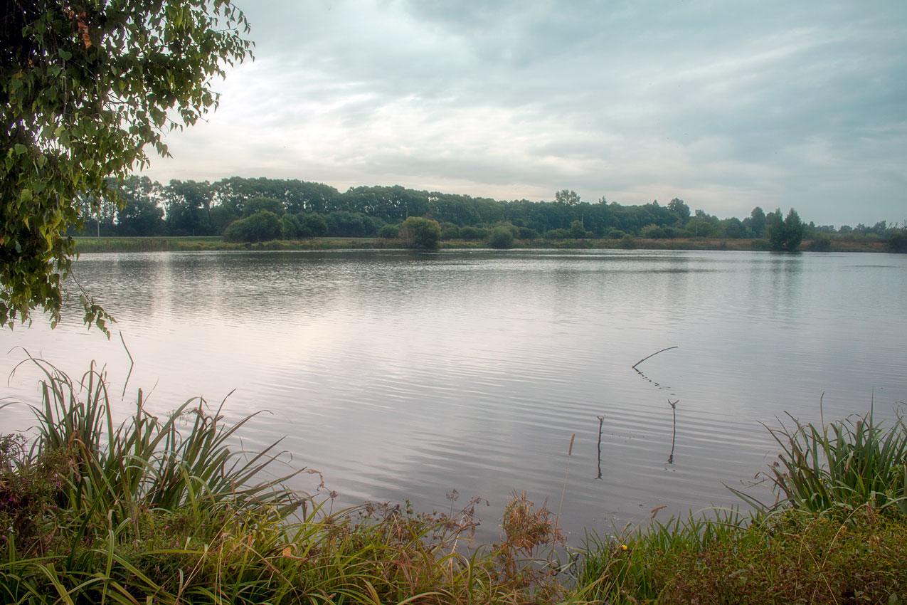 Клевое место.