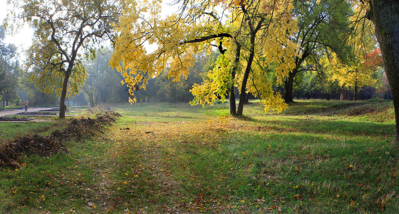 Осенний мотив.