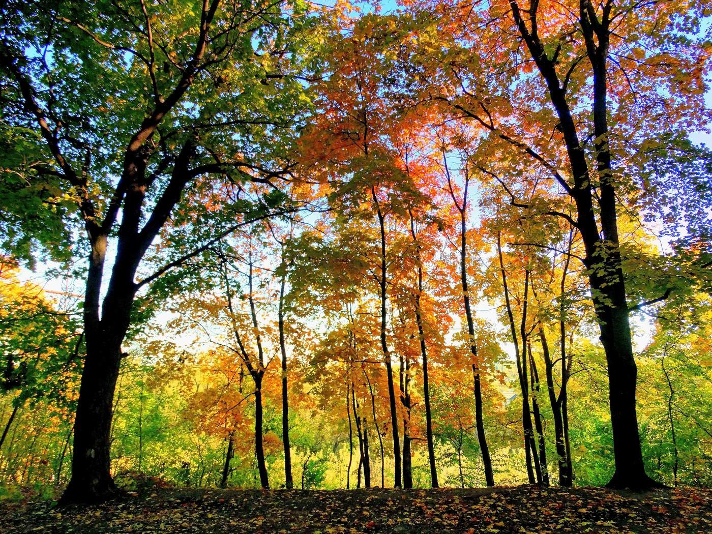 Осень на обрыве