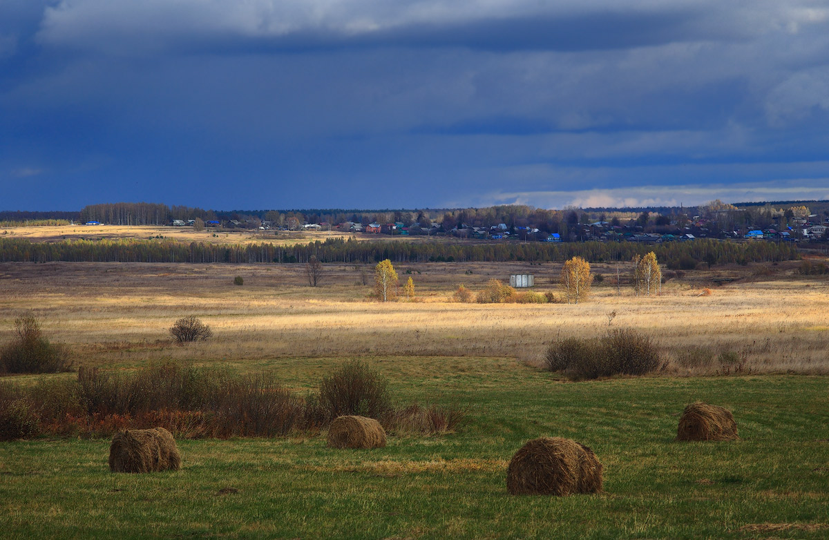 Осенние конрасты