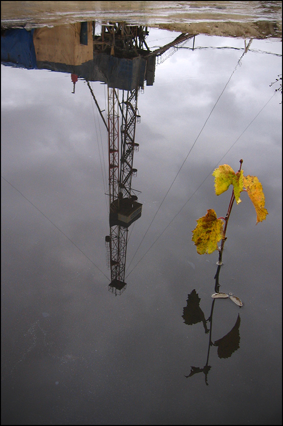 единство и борьба