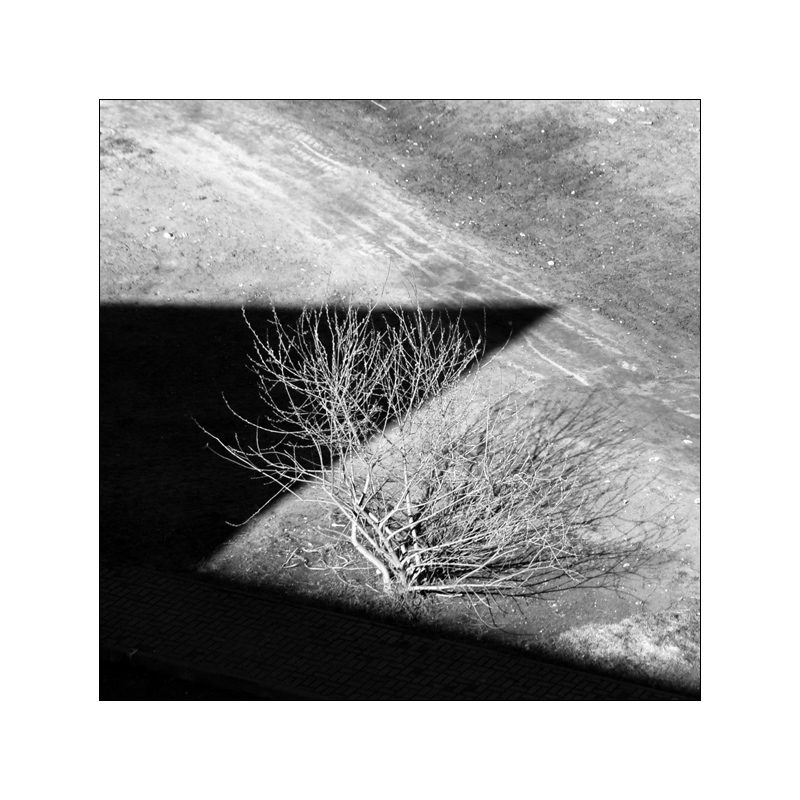 Противоположности