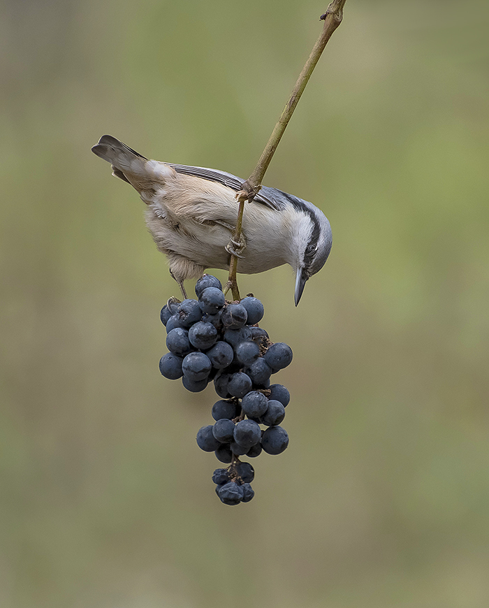 Осенняя зарисовка.