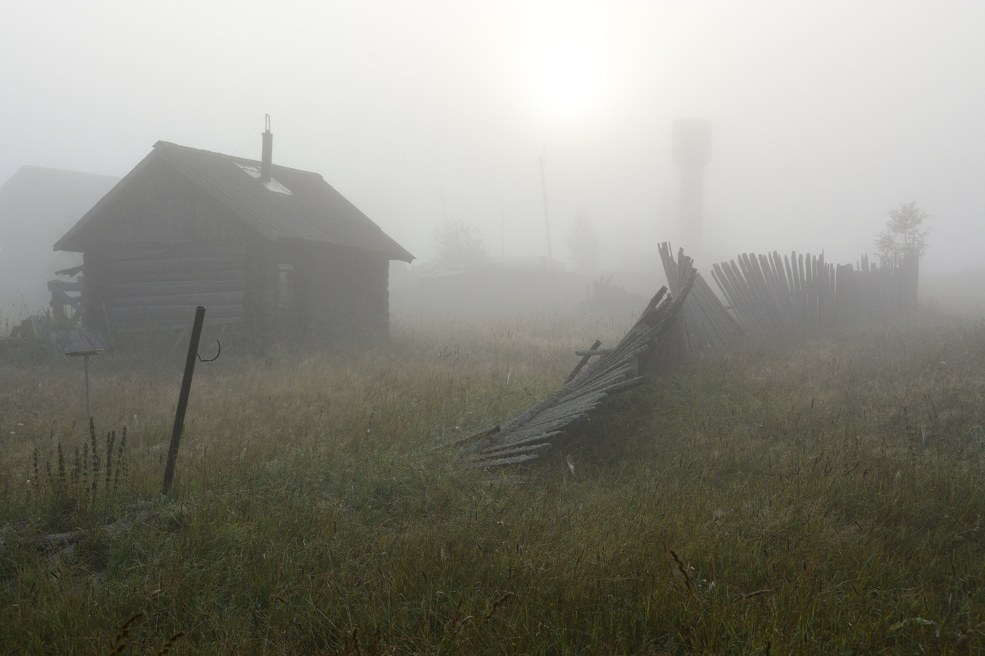 И голосили третьи петухи ...