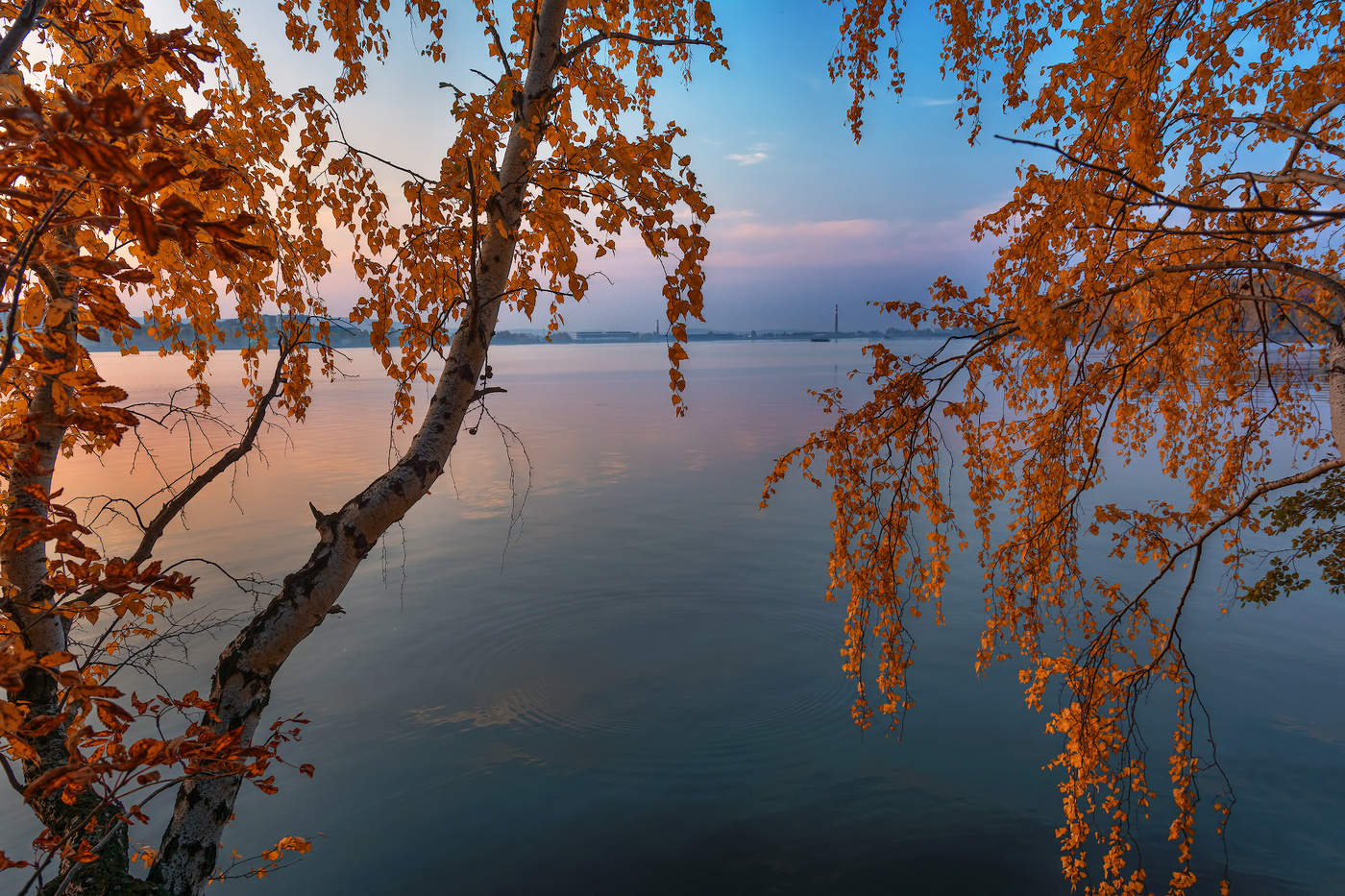 Золотая осень