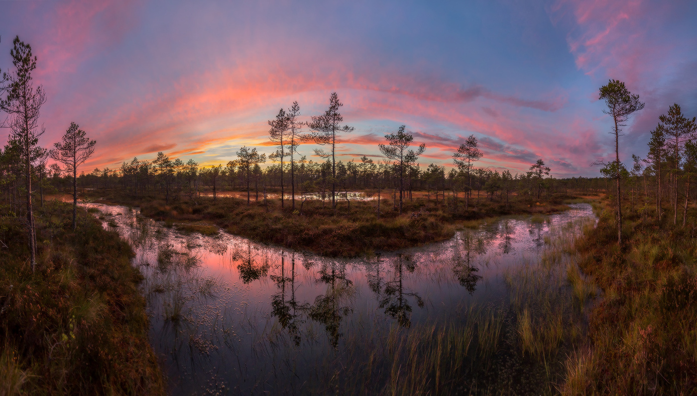 Розовые сумерки.