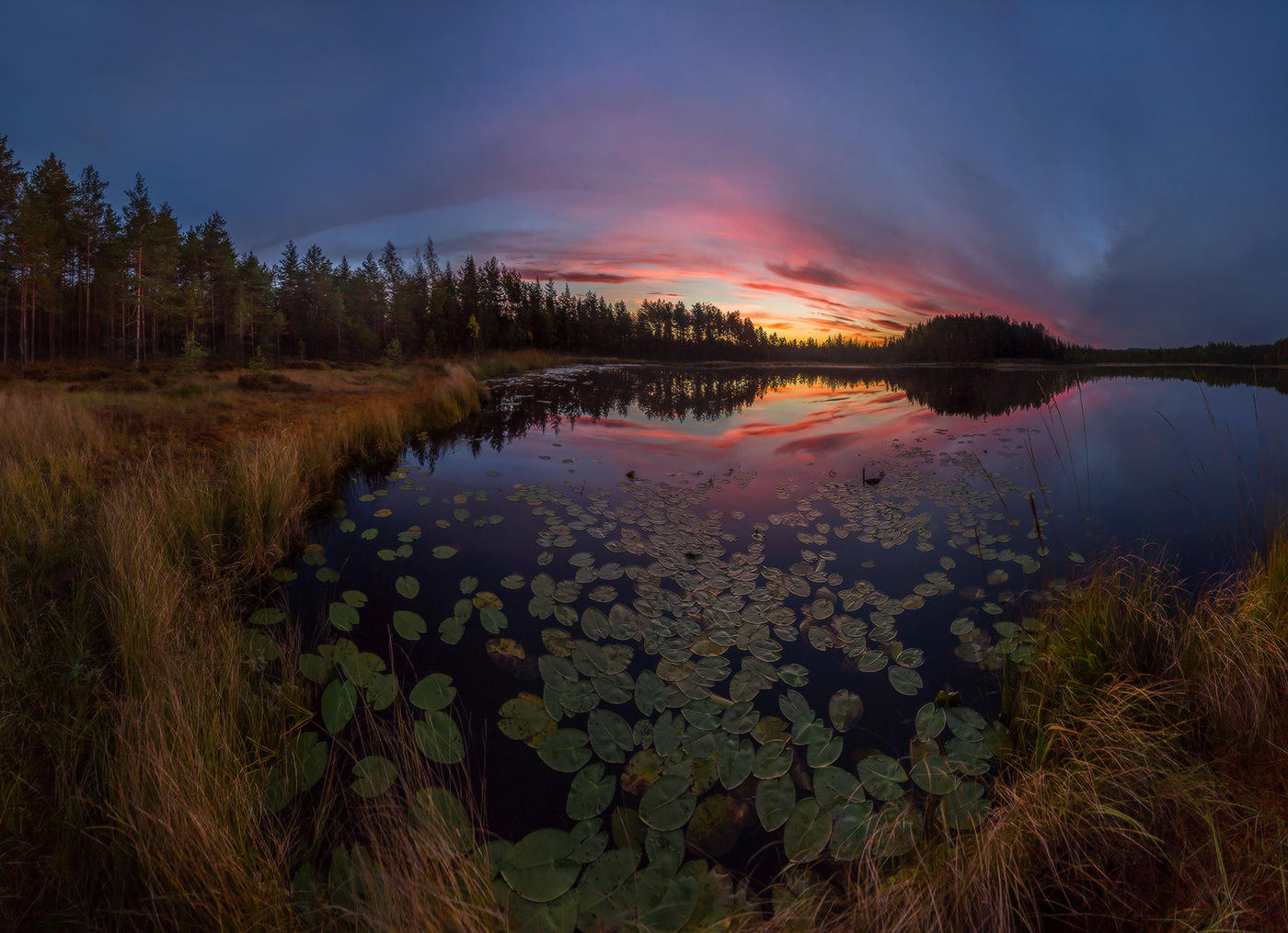 Озеро кувшинок.