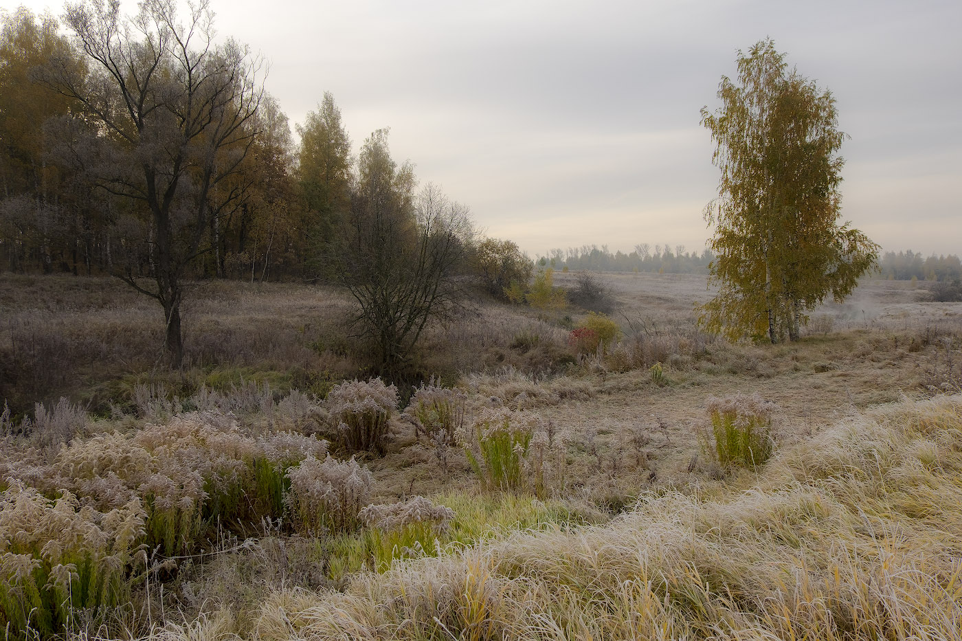Иней,туман...