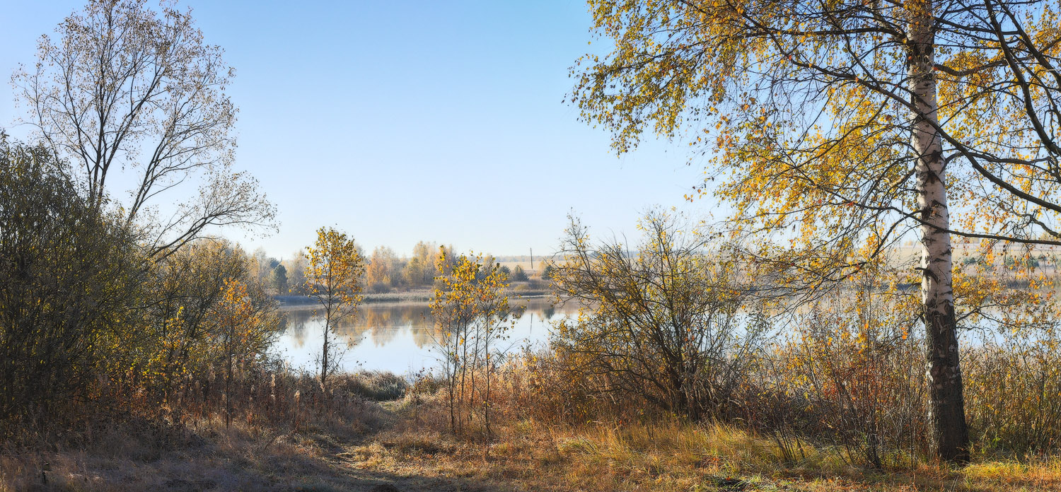 Свежее утро