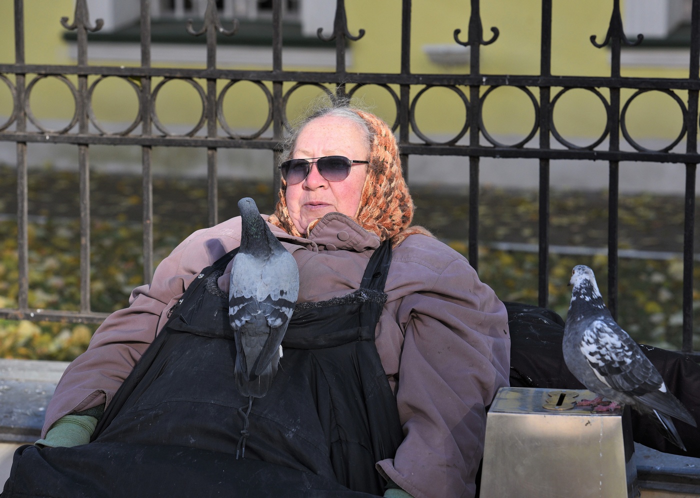 Заклинательница голубей ...