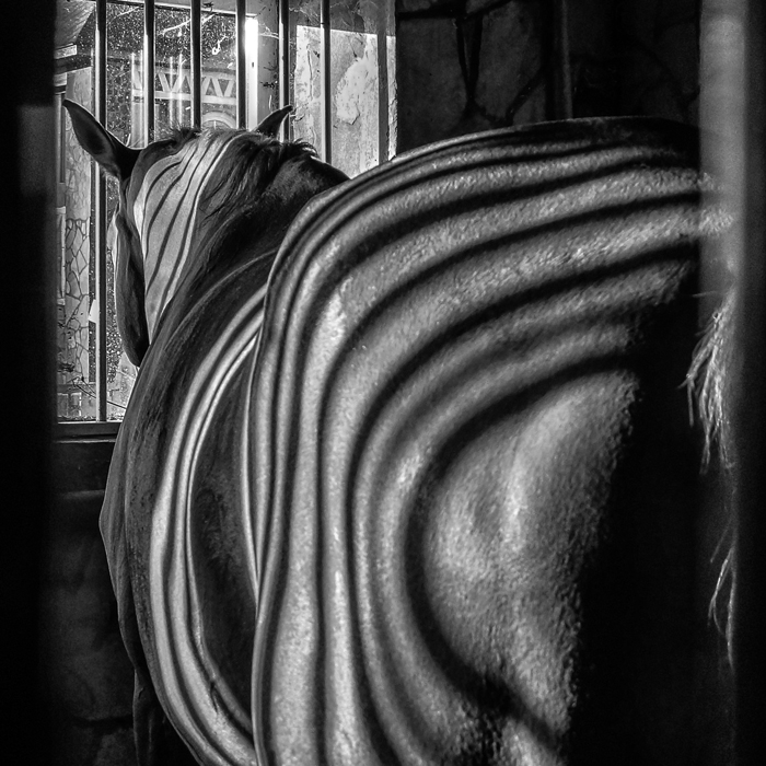 Новые горизонты селекции