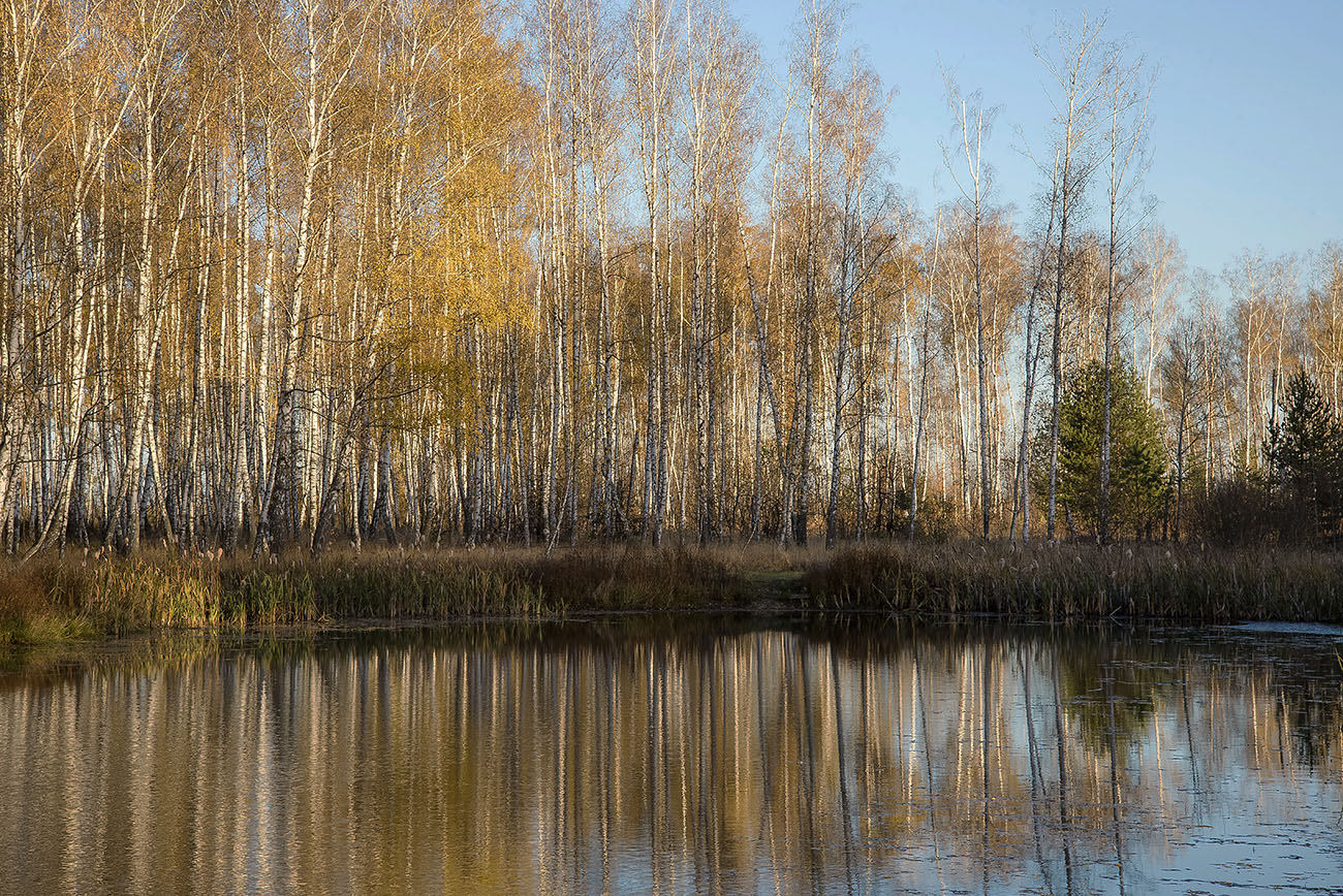 Осенние отражения