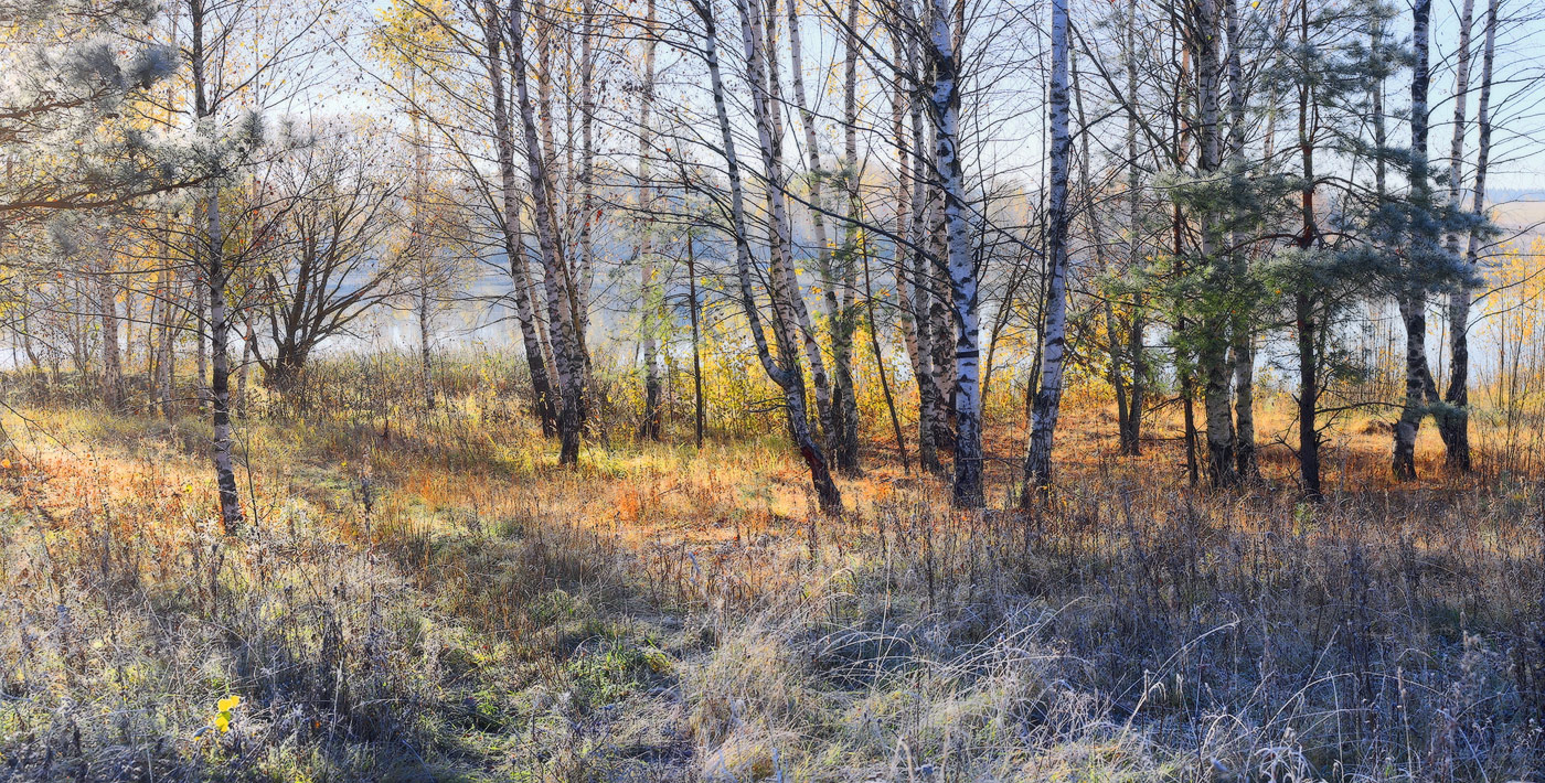 Прозрачное утро октября