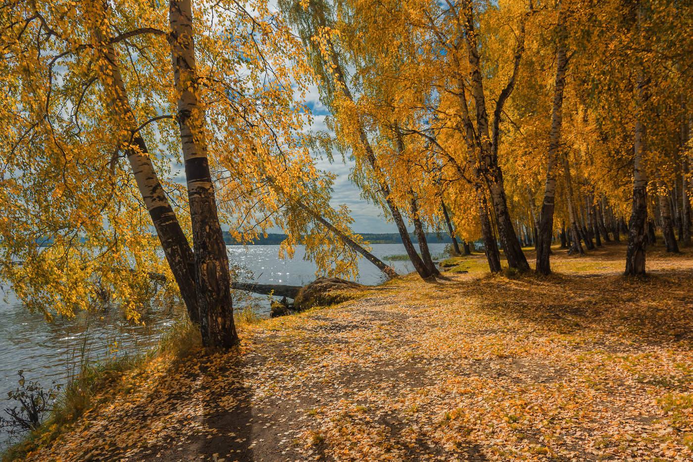 Воспоминания об осени