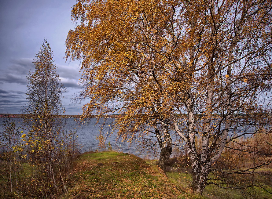 "Выдь на Волгу..."