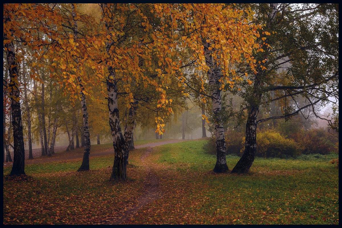 Осенний цвет.