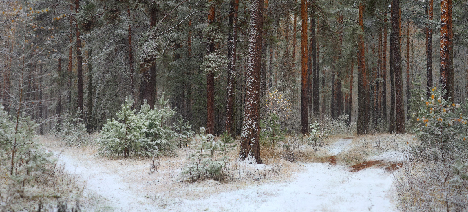 Зима начинается