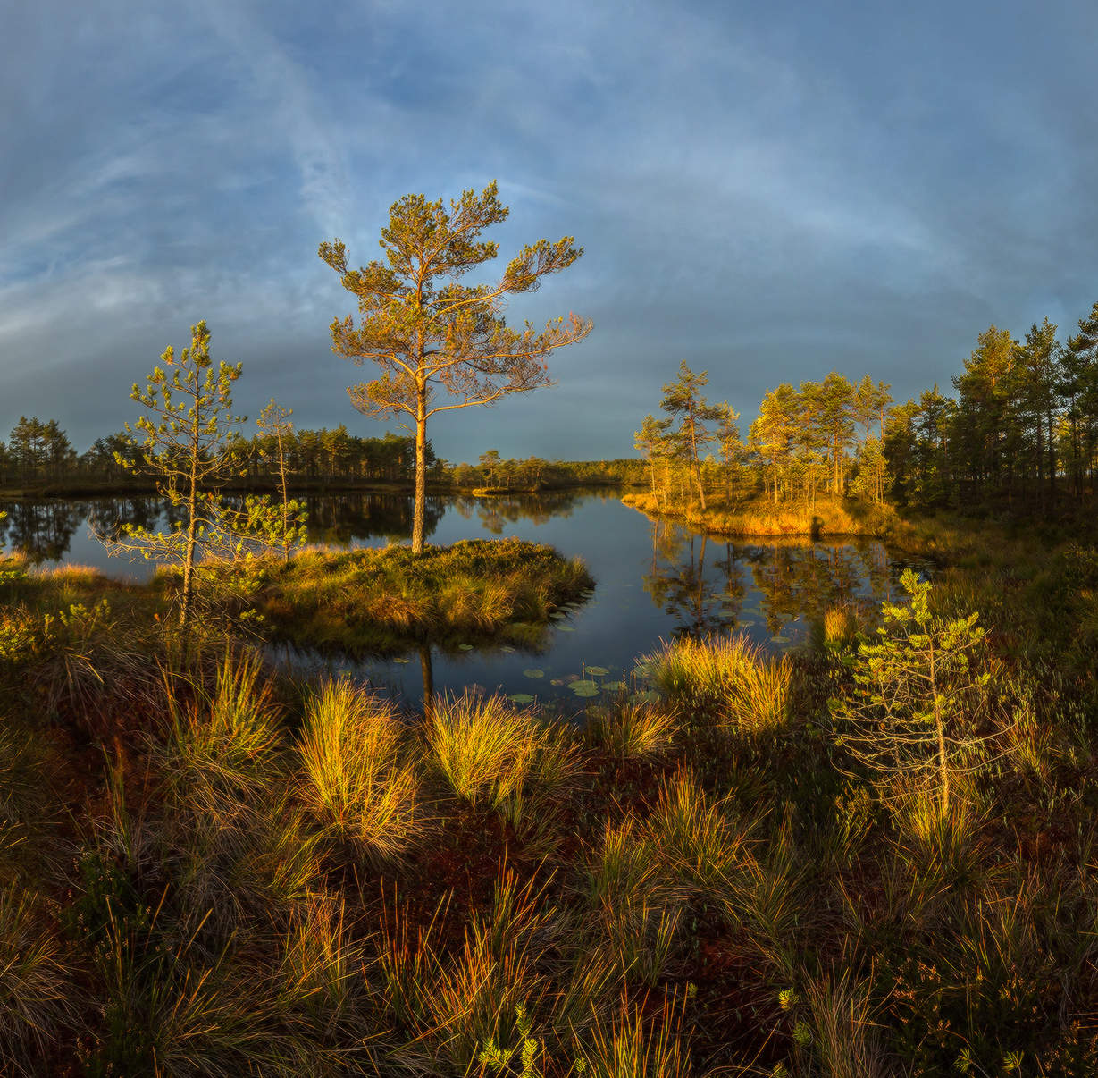 Мягкий свет золота!