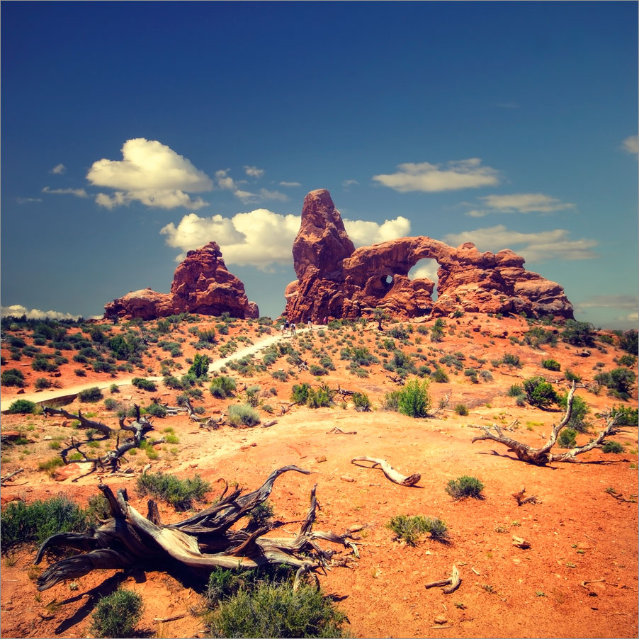 Знойным днем