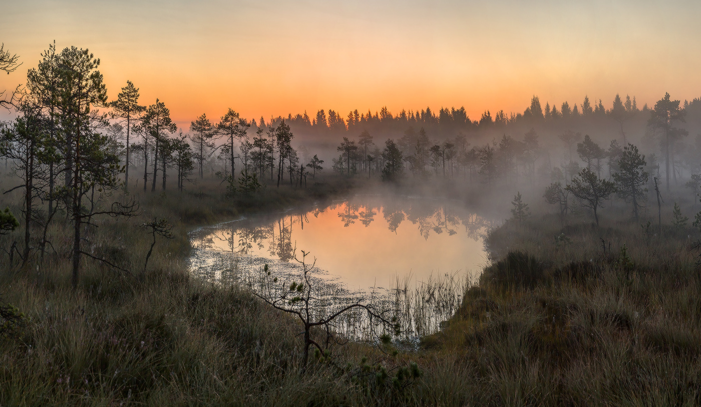 Озерцо на заре.