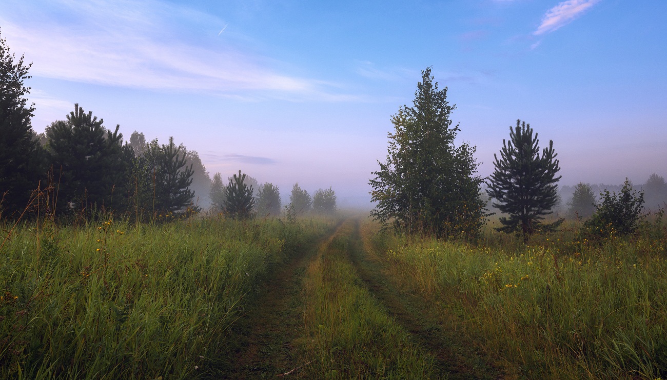 В летние сны...