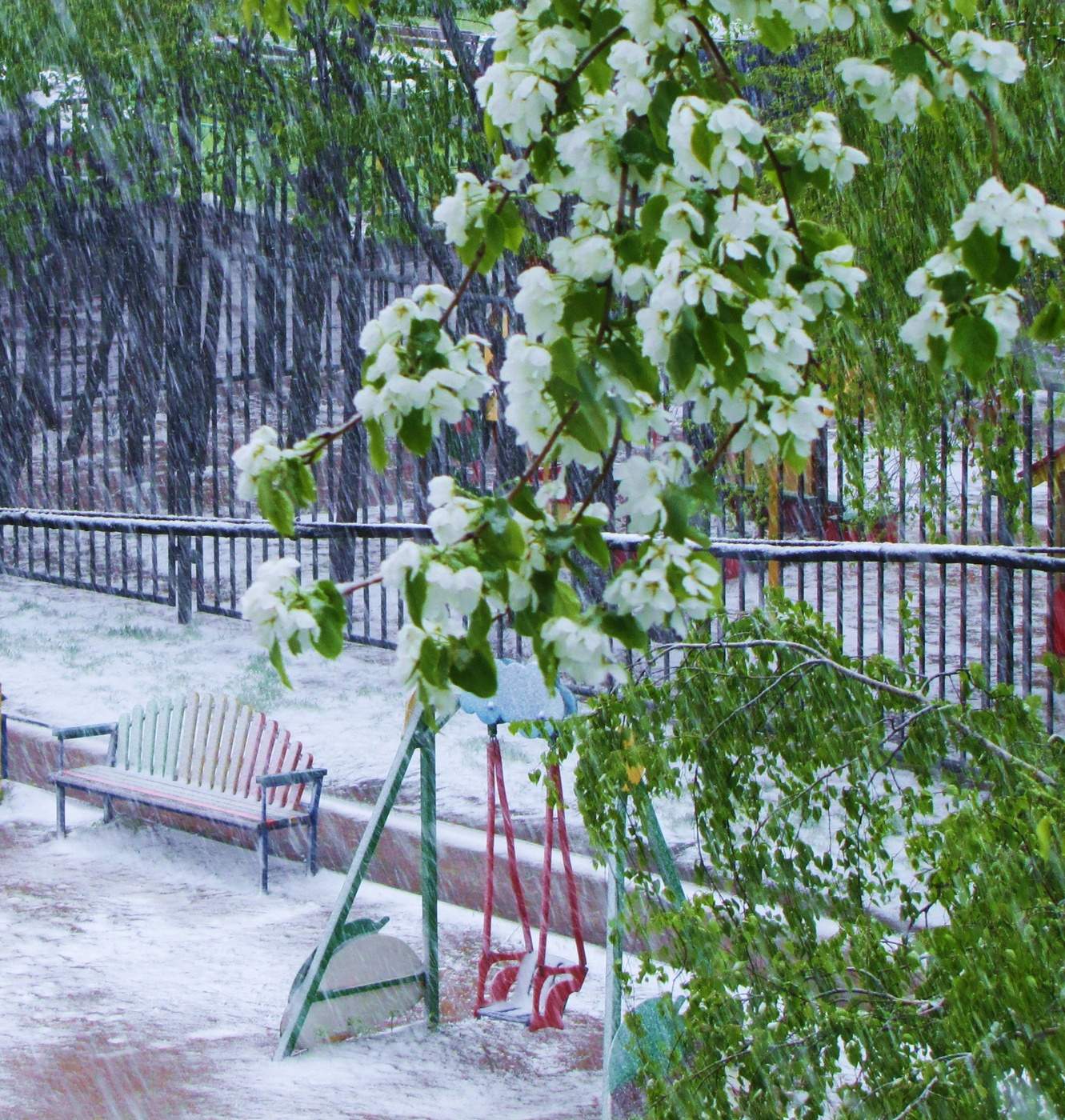 Исключение из правил