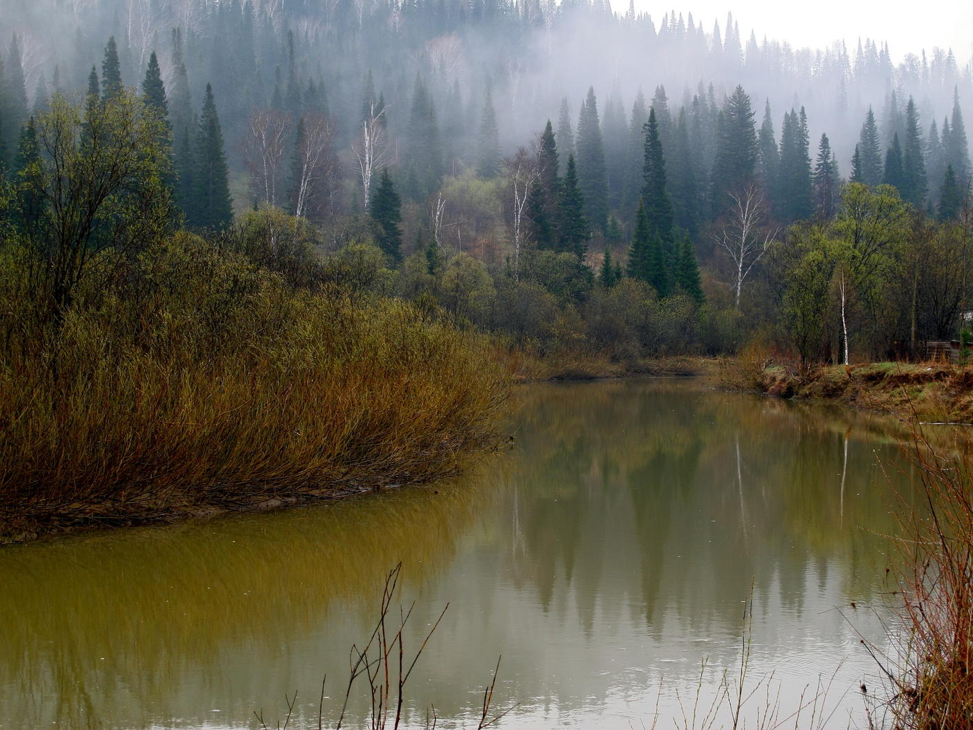 А я еду,а я еду за туманом и за запахом тайги